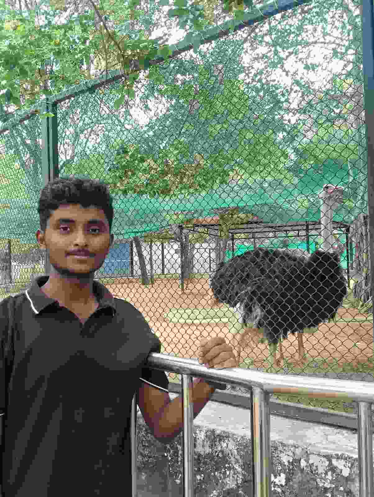 User Image